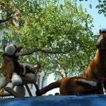 Euromayday 2011
